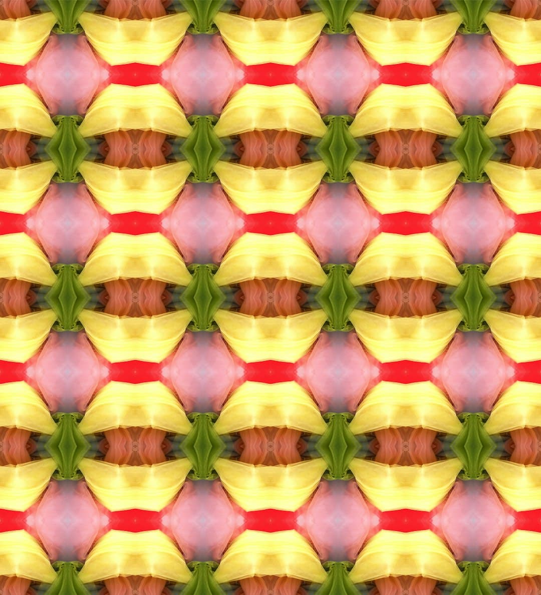 altruistic cook - Gen 2