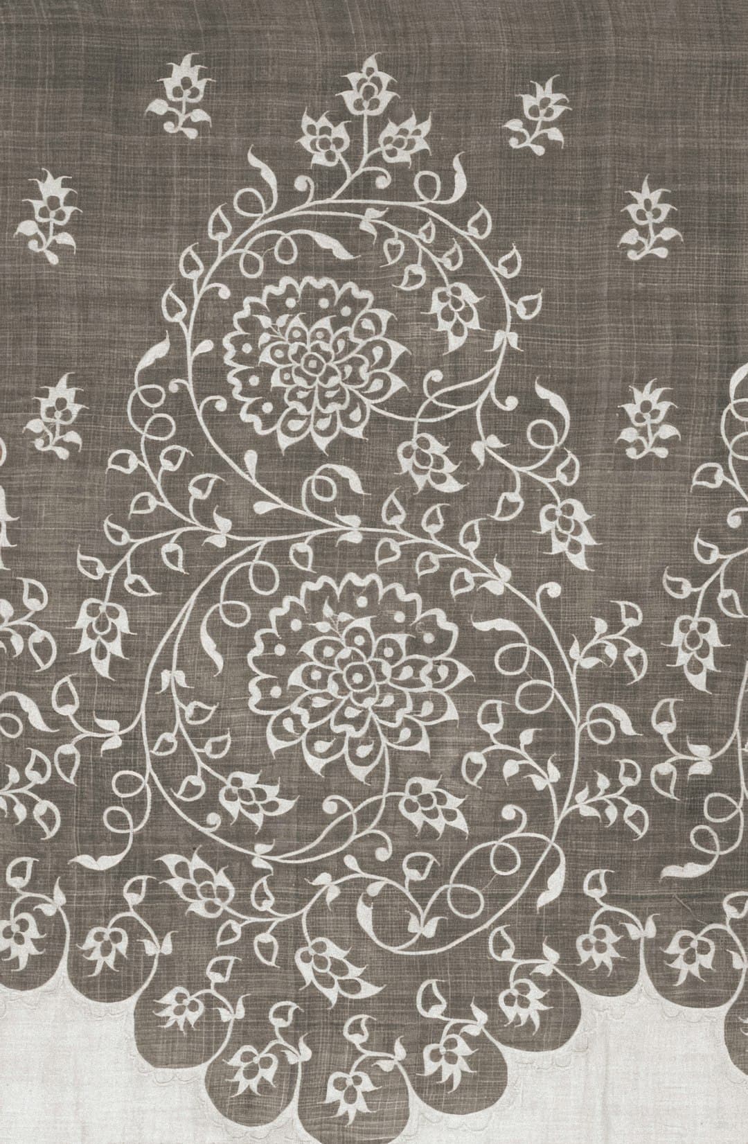 obvious co-producer - Gen 2 — 2